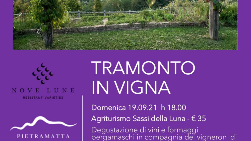 Tramonto in vigna
